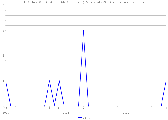 LEONARDO BAGATO CARLOS (Spain) Page visits 2024 