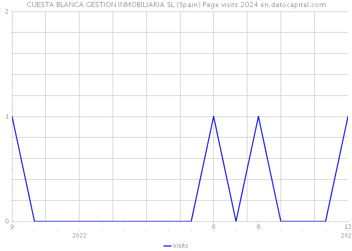 CUESTA BLANCA GESTION INMOBILIARIA SL (Spain) Page visits 2024 