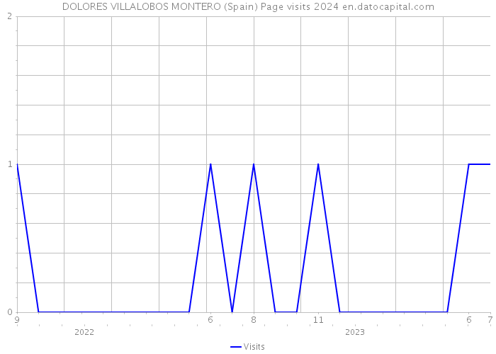 DOLORES VILLALOBOS MONTERO (Spain) Page visits 2024 