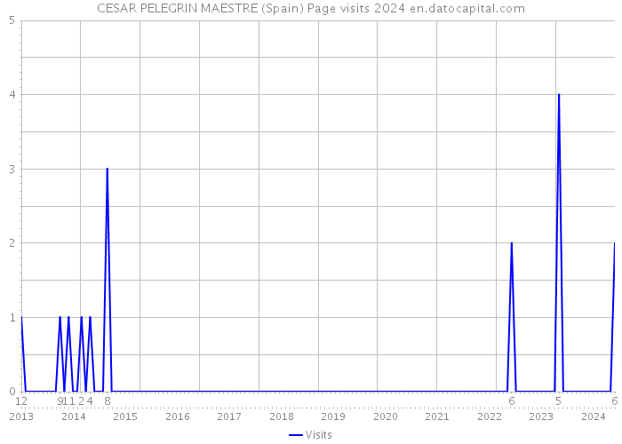 CESAR PELEGRIN MAESTRE (Spain) Page visits 2024 