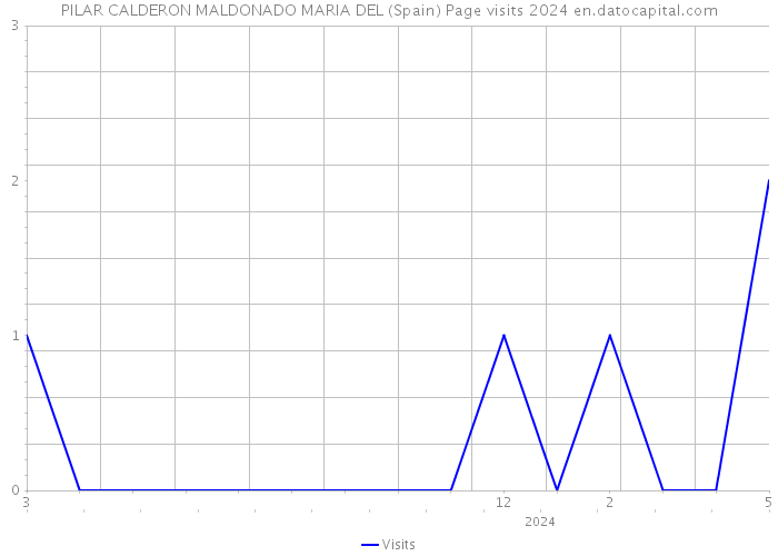 PILAR CALDERON MALDONADO MARIA DEL (Spain) Page visits 2024 