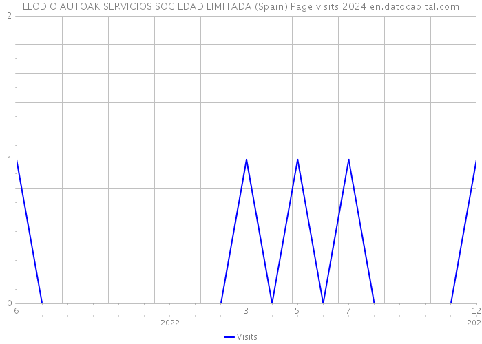 LLODIO AUTOAK SERVICIOS SOCIEDAD LIMITADA (Spain) Page visits 2024 