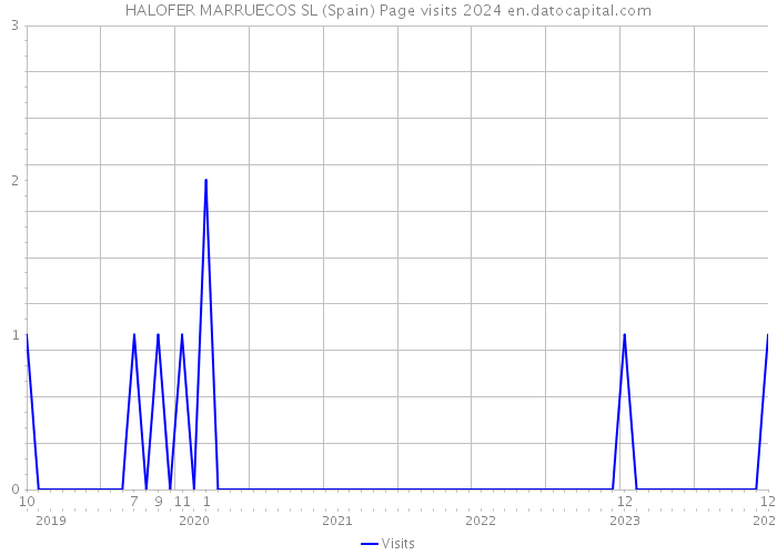 HALOFER MARRUECOS SL (Spain) Page visits 2024 