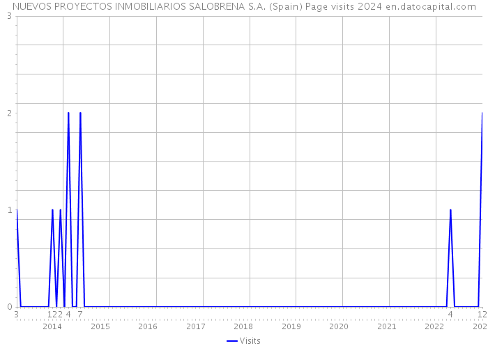 NUEVOS PROYECTOS INMOBILIARIOS SALOBRENA S.A. (Spain) Page visits 2024 