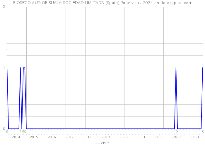RIOSECO AUDIOBISUALA SOCIEDAD LIMITADA (Spain) Page visits 2024 