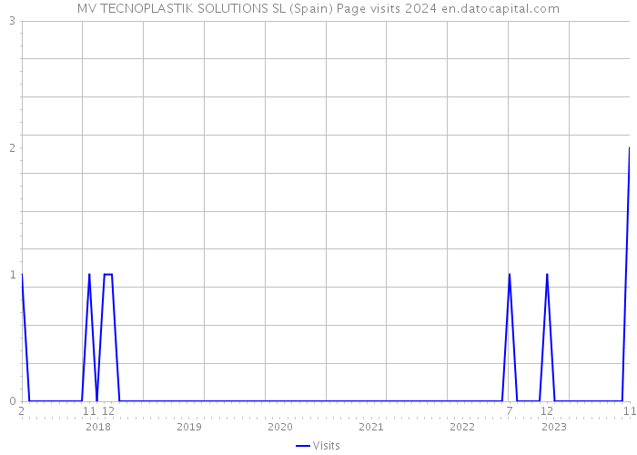MV TECNOPLASTIK SOLUTIONS SL (Spain) Page visits 2024 