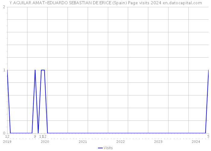 Y AGUILAR AMAT-EDUARDO SEBASTIAN DE ERICE (Spain) Page visits 2024 