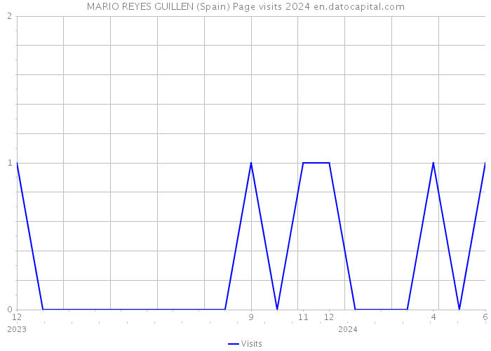 MARIO REYES GUILLEN (Spain) Page visits 2024 