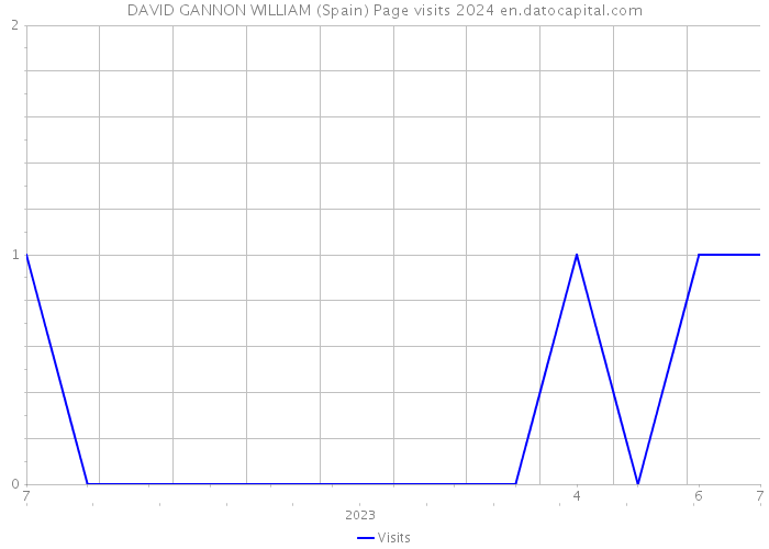 DAVID GANNON WILLIAM (Spain) Page visits 2024 