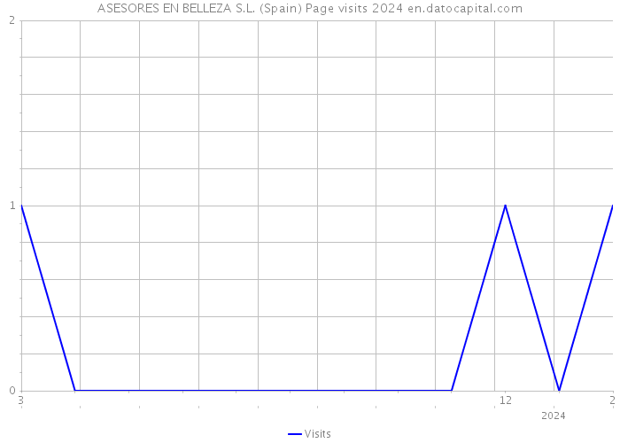 ASESORES EN BELLEZA S.L. (Spain) Page visits 2024 