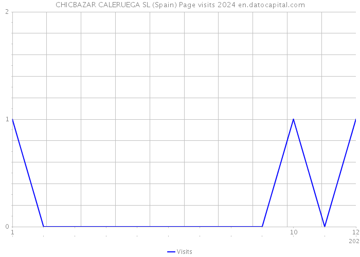 CHICBAZAR CALERUEGA SL (Spain) Page visits 2024 