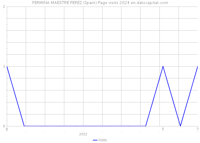 FERMINA MAESTRE PEREZ (Spain) Page visits 2024 