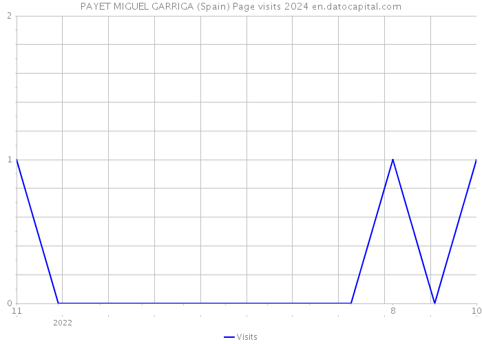 PAYET MIGUEL GARRIGA (Spain) Page visits 2024 