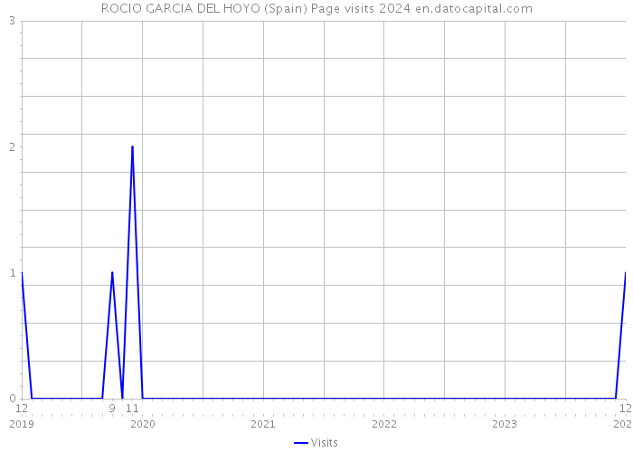 ROCIO GARCIA DEL HOYO (Spain) Page visits 2024 