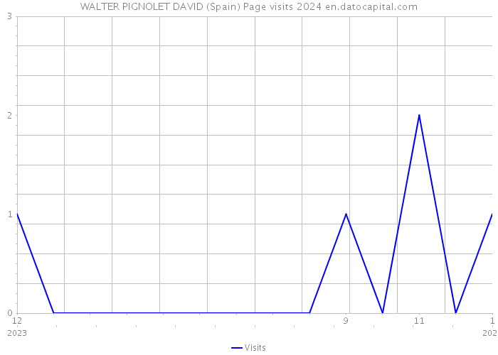 WALTER PIGNOLET DAVID (Spain) Page visits 2024 
