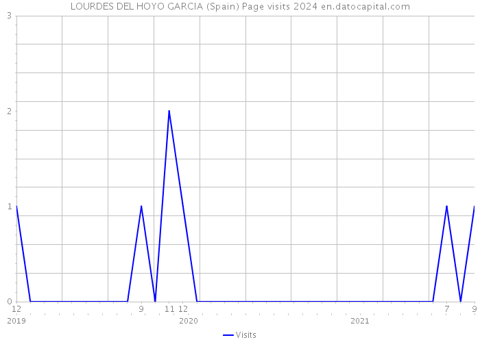 LOURDES DEL HOYO GARCIA (Spain) Page visits 2024 