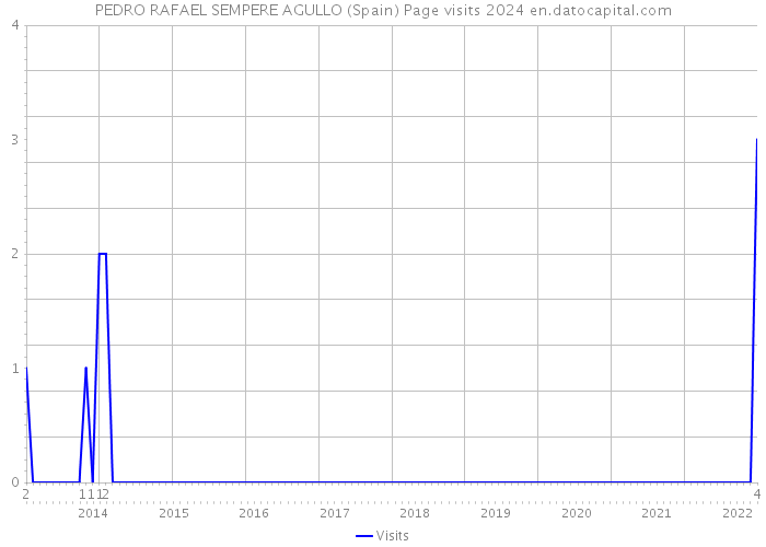 PEDRO RAFAEL SEMPERE AGULLO (Spain) Page visits 2024 