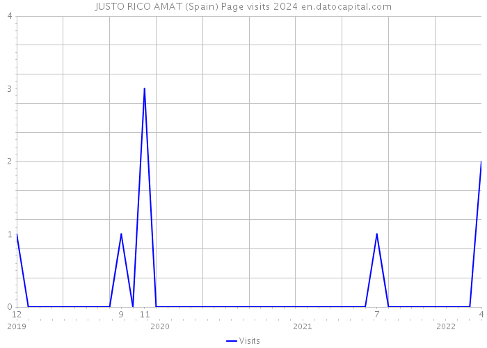 JUSTO RICO AMAT (Spain) Page visits 2024 