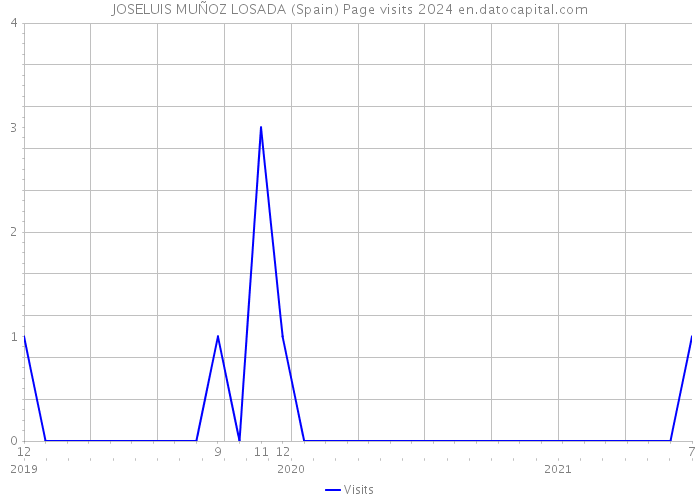 JOSELUIS MUÑOZ LOSADA (Spain) Page visits 2024 