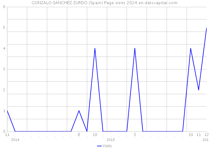 GONZALO SANCHEZ ZURDO (Spain) Page visits 2024 