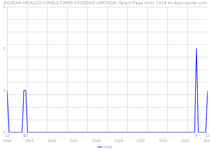 AGUILAR HIDALGO CONSULTORES SOCIEDAD LIMITADA (Spain) Page visits 2024 