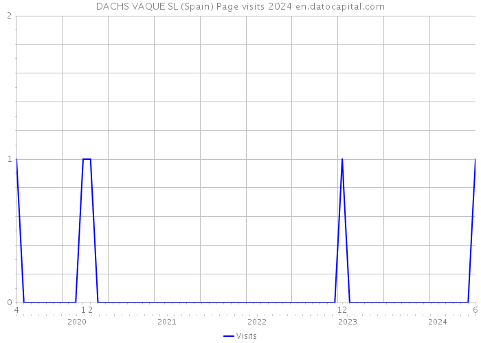 DACHS VAQUE SL (Spain) Page visits 2024 