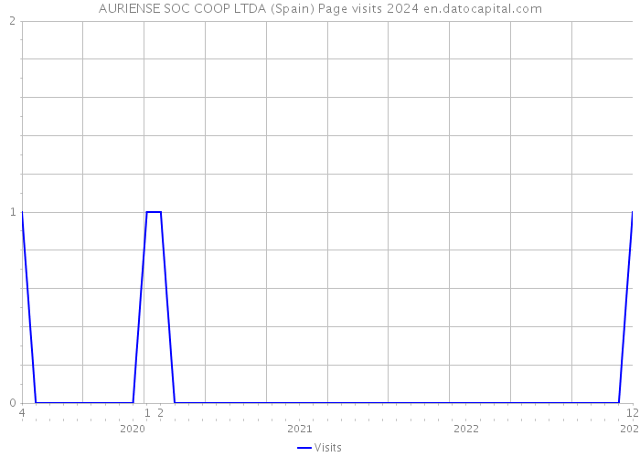 AURIENSE SOC COOP LTDA (Spain) Page visits 2024 