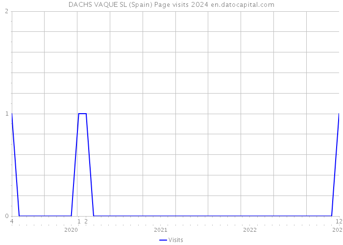 DACHS VAQUE SL (Spain) Page visits 2024 