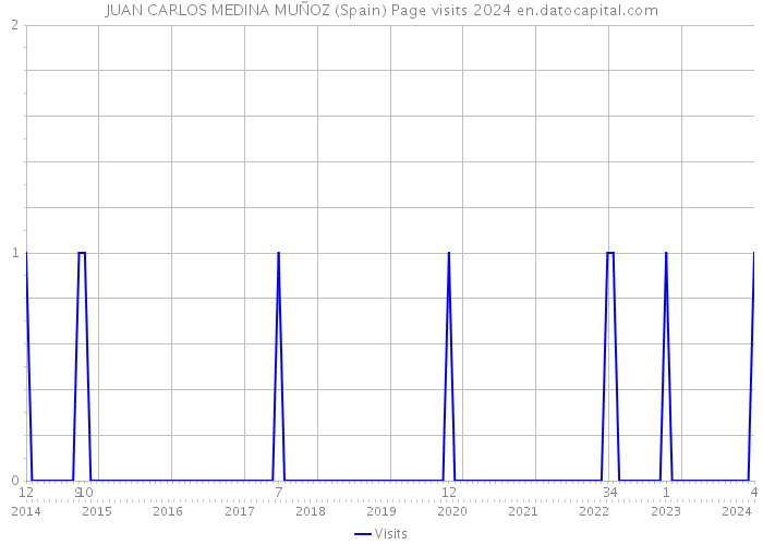 JUAN CARLOS MEDINA MUÑOZ (Spain) Page visits 2024 