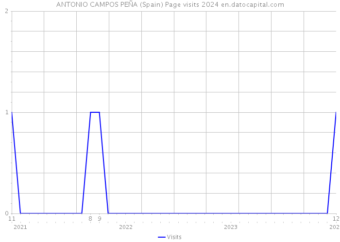 ANTONIO CAMPOS PEÑA (Spain) Page visits 2024 