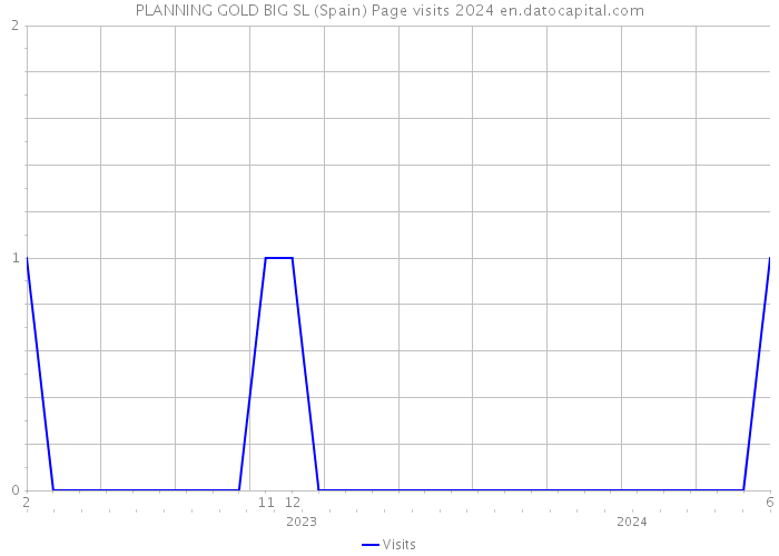 PLANNING GOLD BIG SL (Spain) Page visits 2024 