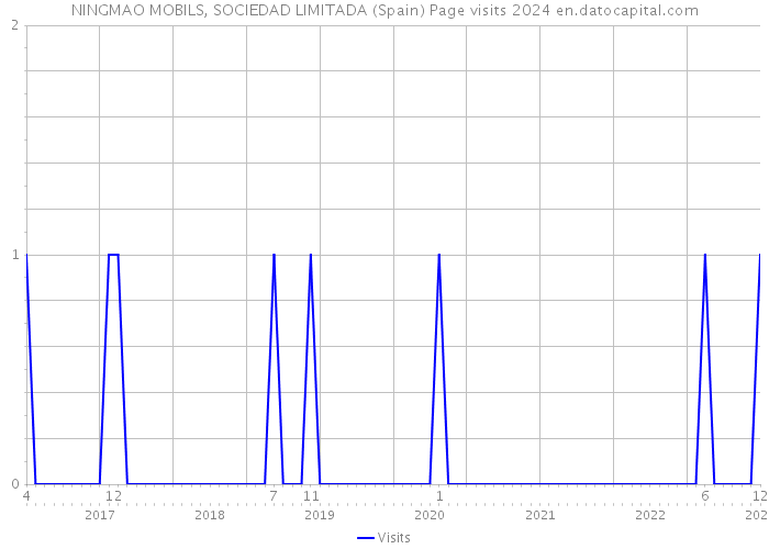 NINGMAO MOBILS, SOCIEDAD LIMITADA (Spain) Page visits 2024 