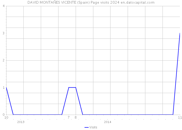 DAVID MONTAÑES VICENTE (Spain) Page visits 2024 
