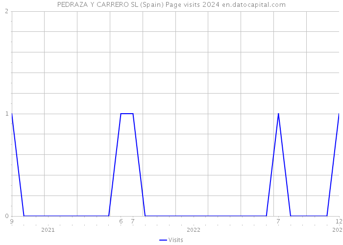 PEDRAZA Y CARRERO SL (Spain) Page visits 2024 