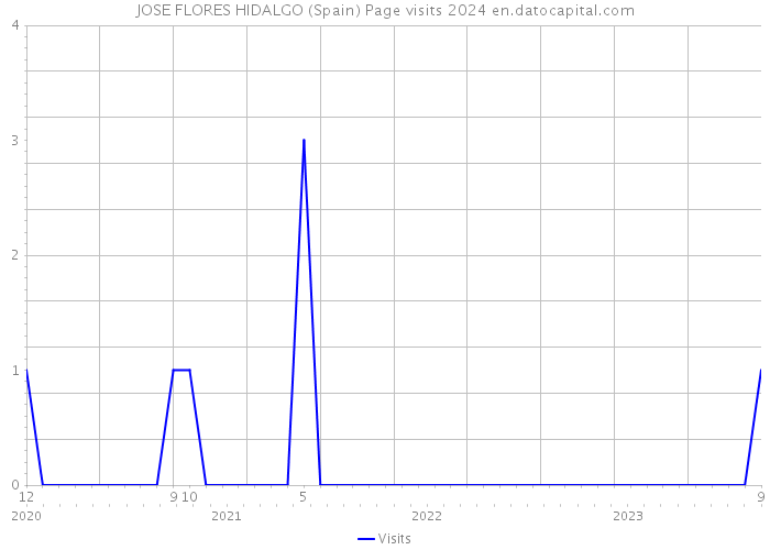 JOSE FLORES HIDALGO (Spain) Page visits 2024 