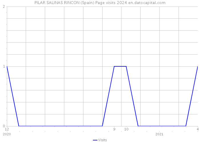 PILAR SALINAS RINCON (Spain) Page visits 2024 