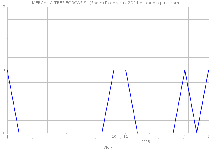 MERCALIA TRES FORCAS SL (Spain) Page visits 2024 