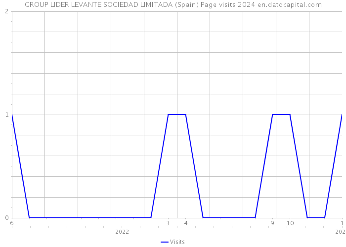 GROUP LIDER LEVANTE SOCIEDAD LIMITADA (Spain) Page visits 2024 