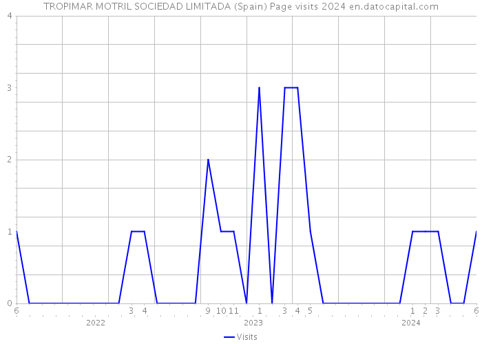 TROPIMAR MOTRIL SOCIEDAD LIMITADA (Spain) Page visits 2024 