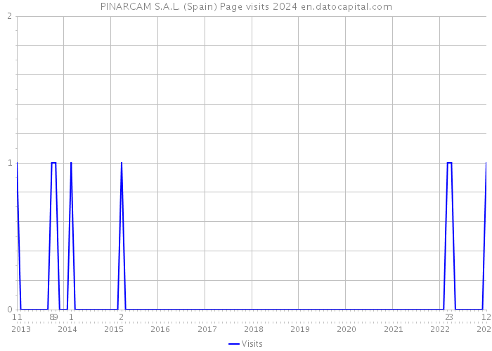 PINARCAM S.A.L. (Spain) Page visits 2024 