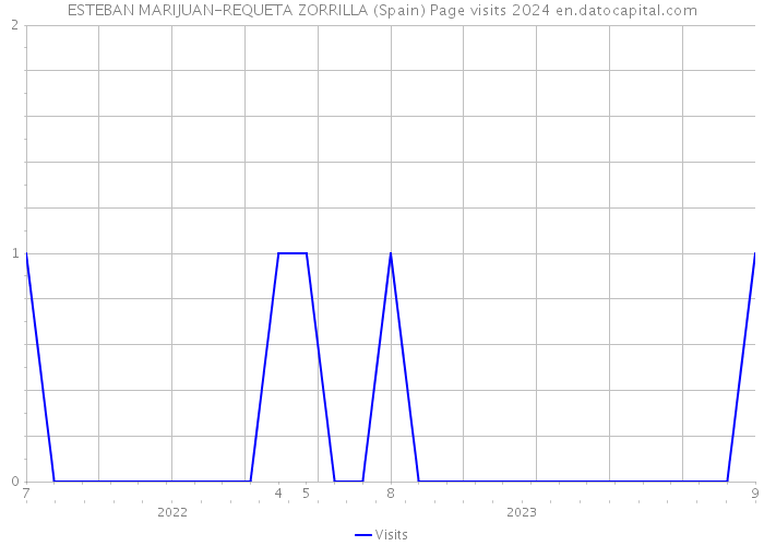 ESTEBAN MARIJUAN-REQUETA ZORRILLA (Spain) Page visits 2024 