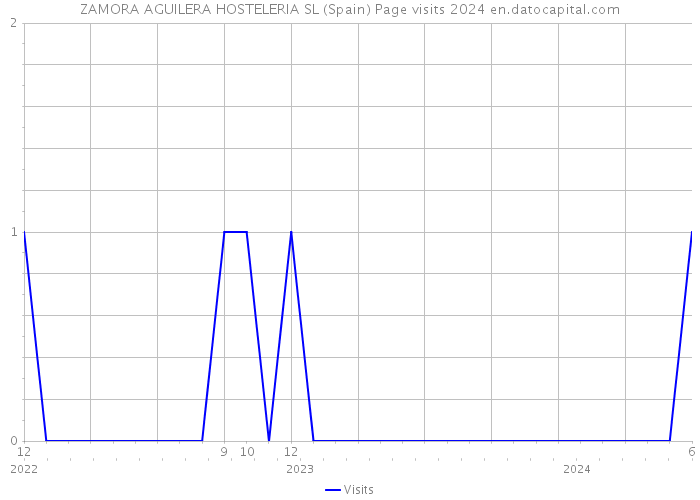 ZAMORA AGUILERA HOSTELERIA SL (Spain) Page visits 2024 