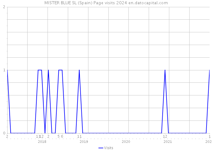 MISTER BLUE SL (Spain) Page visits 2024 