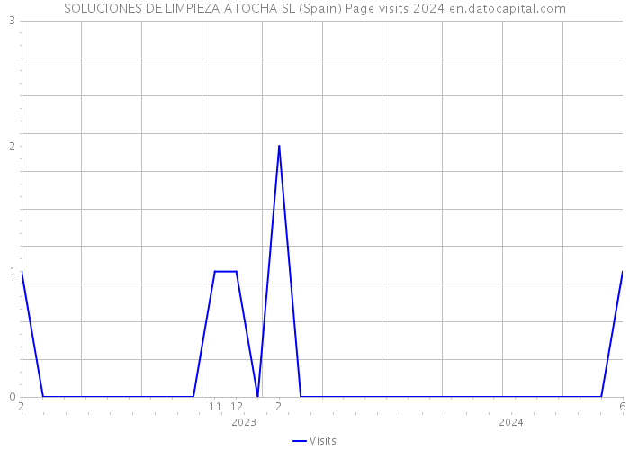 SOLUCIONES DE LIMPIEZA ATOCHA SL (Spain) Page visits 2024 