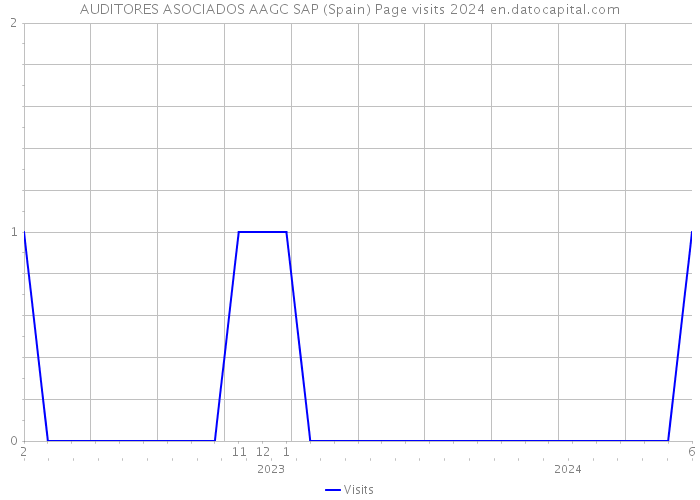 AUDITORES ASOCIADOS AAGC SAP (Spain) Page visits 2024 