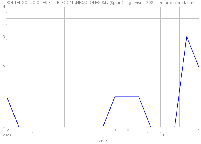 SOLTEL SOLUCIONES EN TELECOMUNICACIONES S.L. (Spain) Page visits 2024 