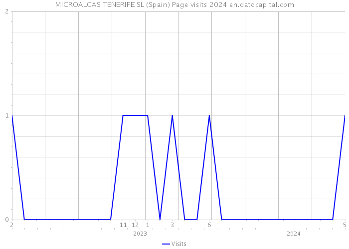 MICROALGAS TENERIFE SL (Spain) Page visits 2024 
