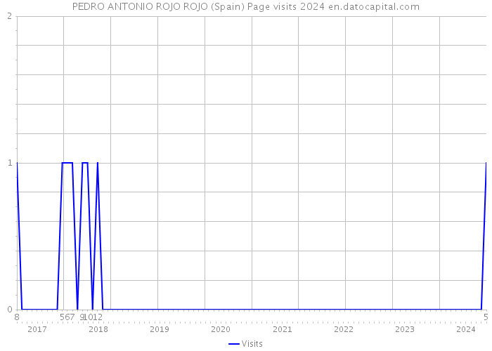 PEDRO ANTONIO ROJO ROJO (Spain) Page visits 2024 