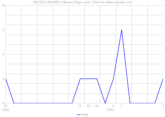 NICOLO ONGARO (Spain) Page visits 2024 