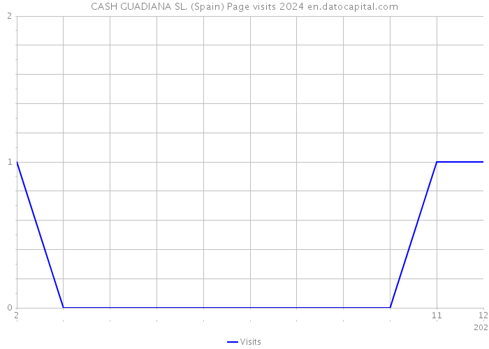 CASH GUADIANA SL. (Spain) Page visits 2024 